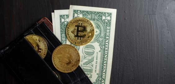 Reasons You Should Set Up a Digital Wallet: College Edition