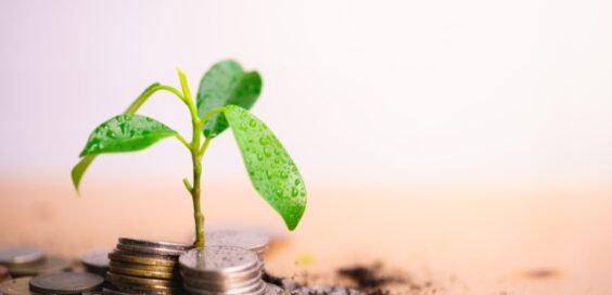 A small plant is surrounded by different coins, and it appears to be growing from the coins. The background is blurry.