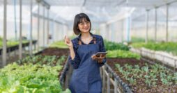 Smiling person in a blue apron uses a tablet among raised beds of green and red leafy plants inside a greenhouse.
