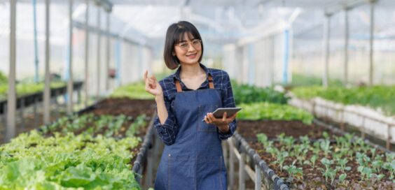 Smiling person in a blue apron uses a tablet among raised beds of green and red leafy plants inside a greenhouse.