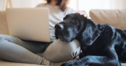 A woman sits cross-legged on a couch while holding a laptop. A black dog lies beside her with its head on her knee.