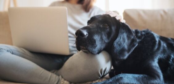 A woman sits cross-legged on a couch while holding a laptop. A black dog lies beside her with its head on her knee.